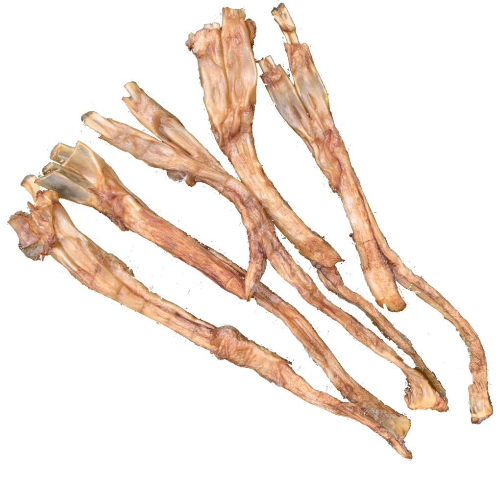 Large Chewy Beef Tendons - 5 pack - IJK Pet Supplies