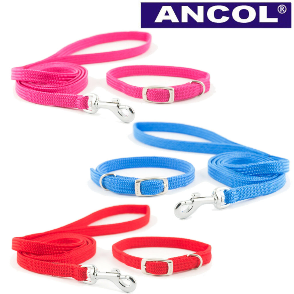 Ancol Small Bite Puppy / Small Dog Collar and Lead Sets - IJK Pet Supplies