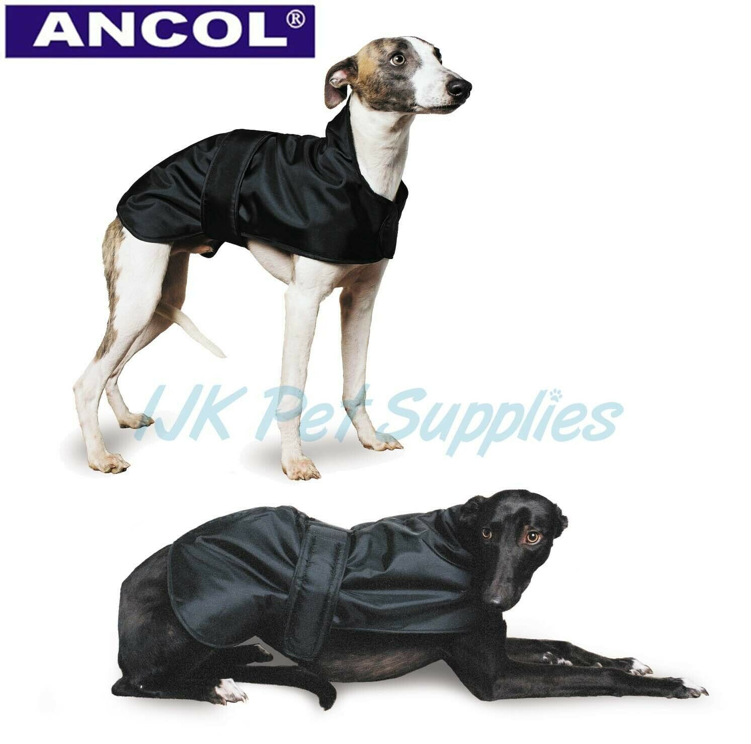 coats for whippet puppies