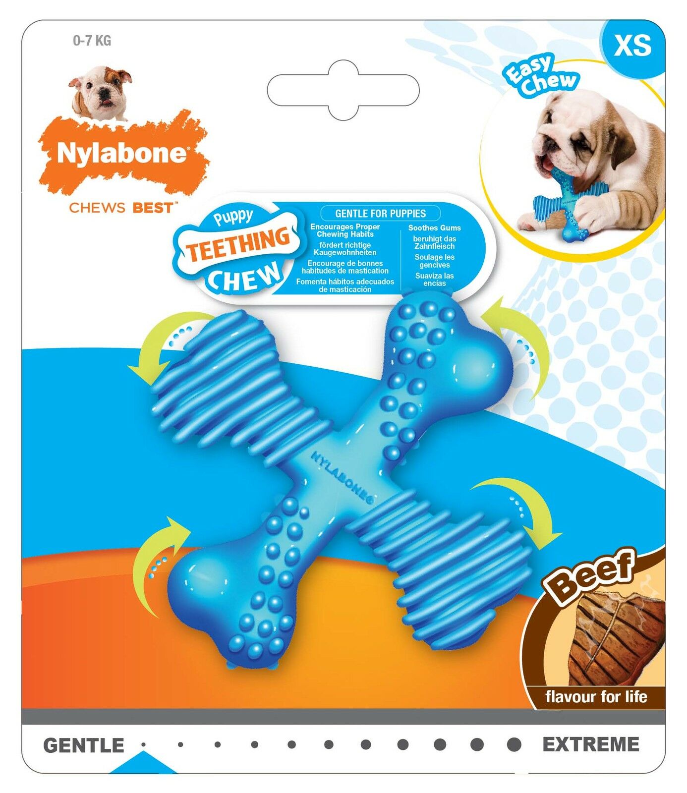 Nylabone Teething Puppy Chill'n Chew Peanut Butter Chew Toy for